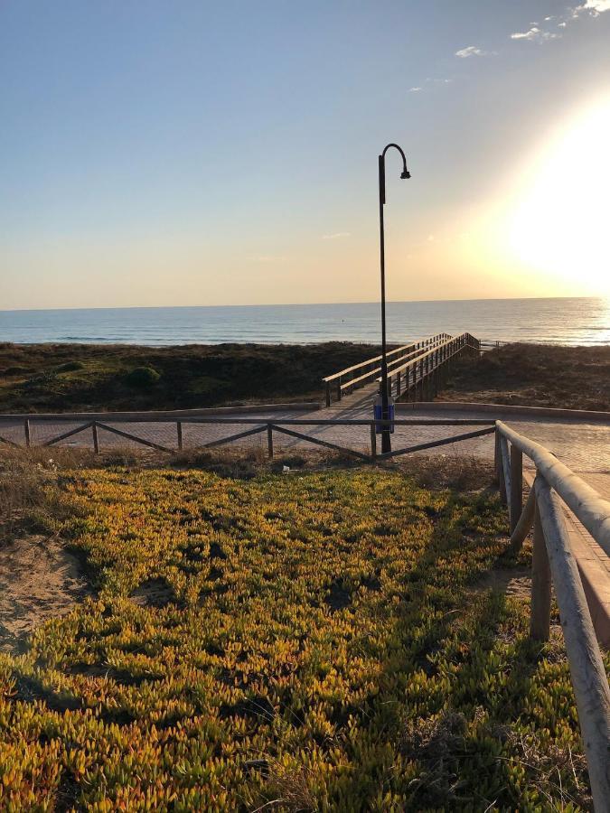 Martas Apartment La Mata  Zewnętrze zdjęcie